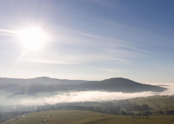 Ziegelhof 宾馆 波彭豪森